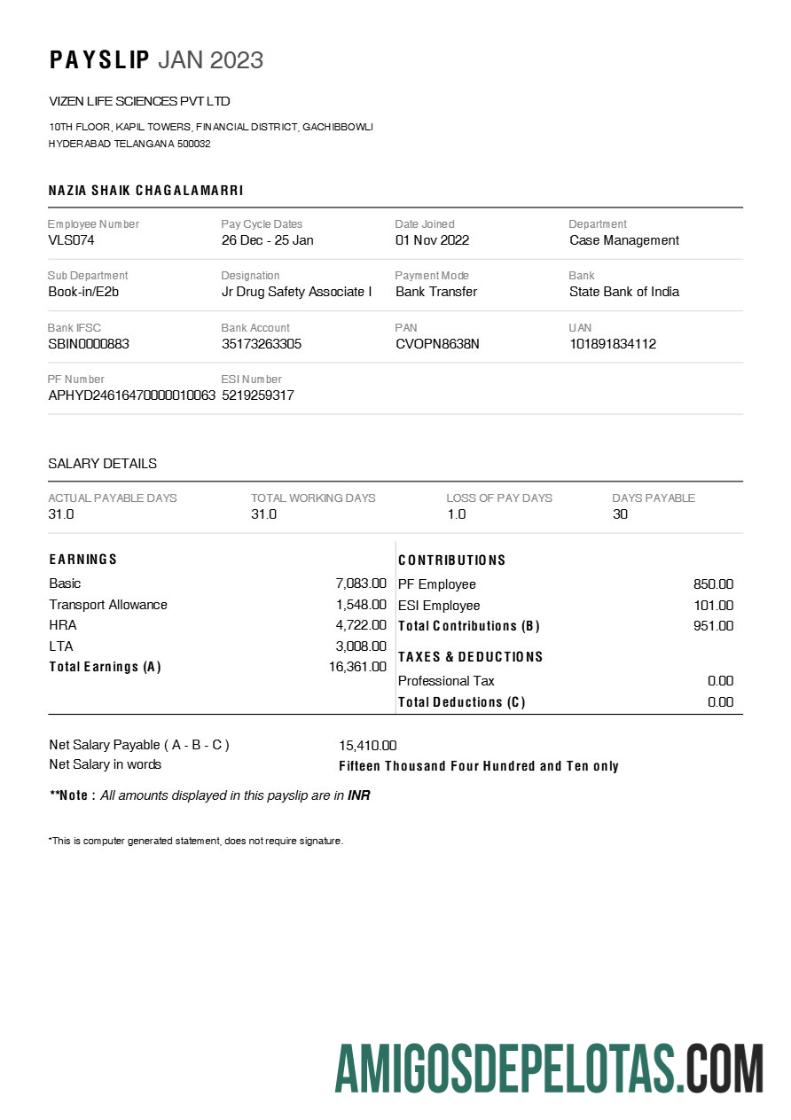 Em branco Modelo de recibo de pagamento da Vizen Life Sciences Pharmaceutical Company em formatos Word e PDF.pdf, 1